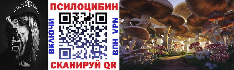 закладки Новозыбков MEGA ссылки Псилоцибиновые грибы Magic Shrooms